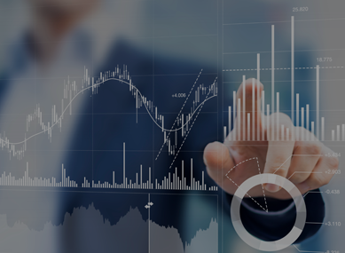 The product portfolio